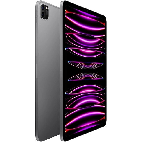Apple iPad Pro 11 (2022) 256Gb Wi-Fi + Cellular (Space Gray) — изображение 3
